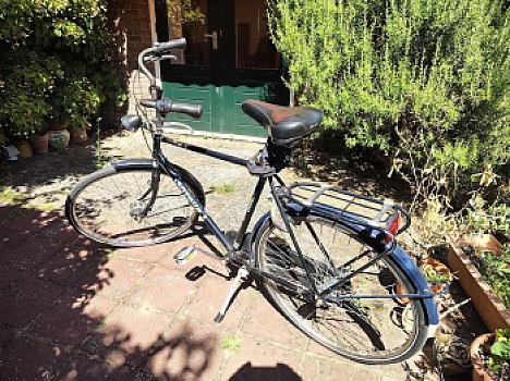 Men's bicycle Gazelle Esprit frame size 57