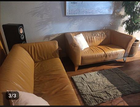 Leather couches