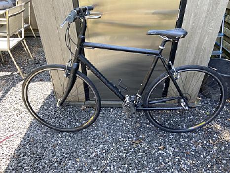Adult sports bike