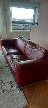 Burgundy leather sofas